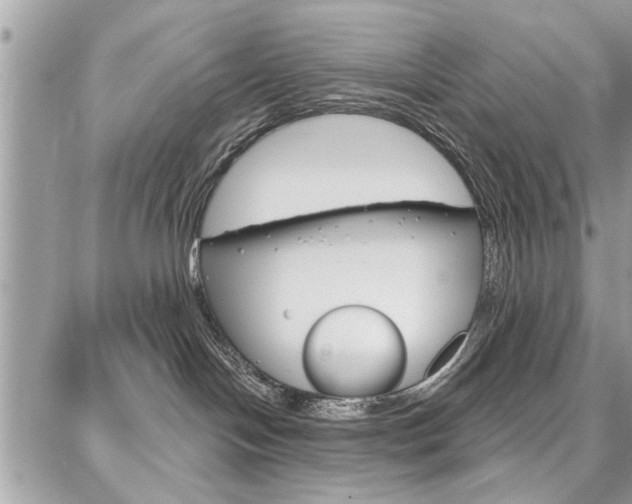 X0000086880094200704160951