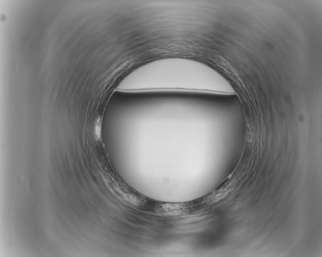 X0000086880095200704160951