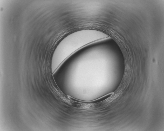 X0000086880096200704160951