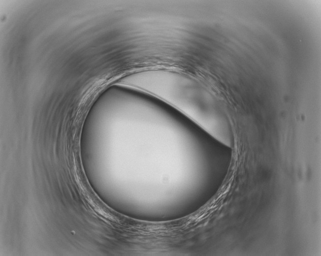 X0000086880097200704160950