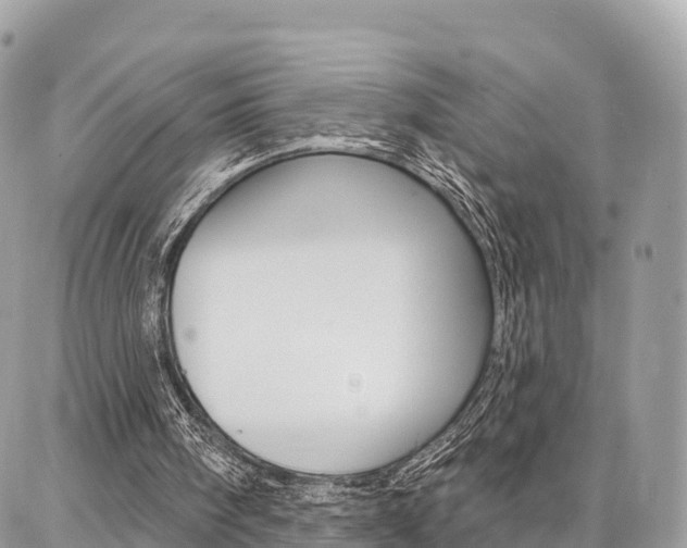 X0000086880098200704160950