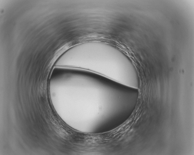 X0000086880099200704160950