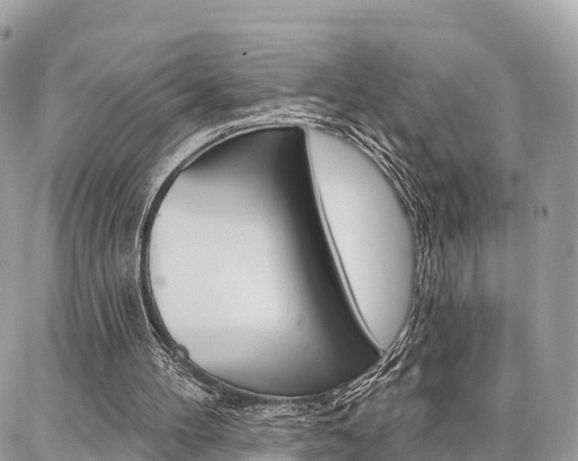 X0000086880100200704160950