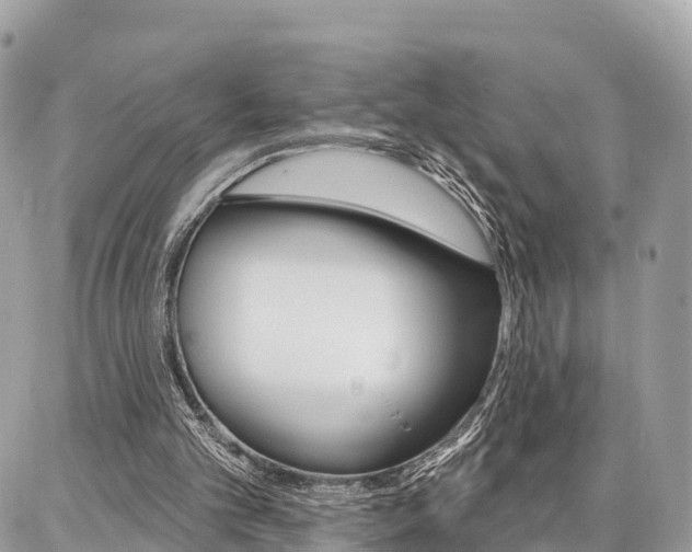 X0000086880101200704160950