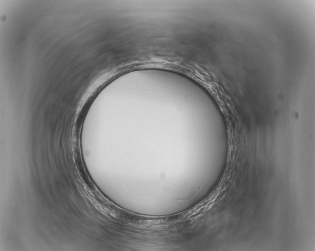 X0000086880102200704160950