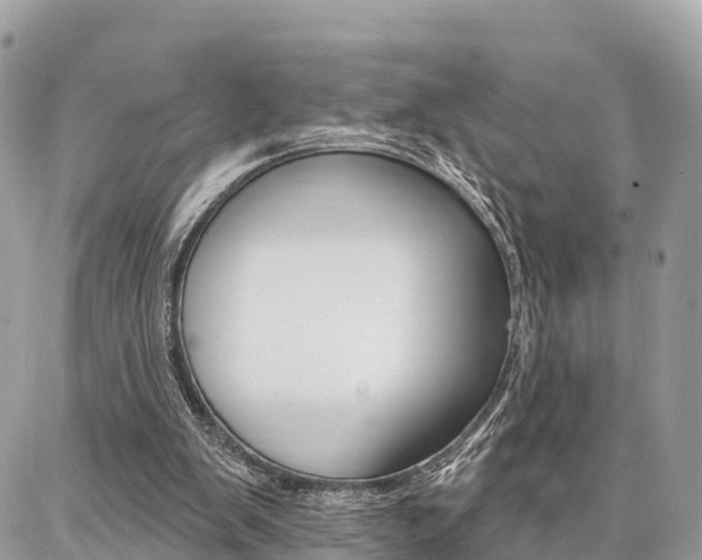 X0000086880103200704160950