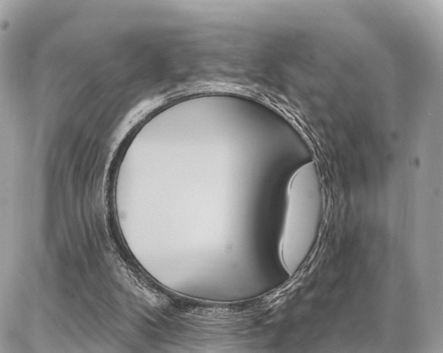 X0000086880104200704160950