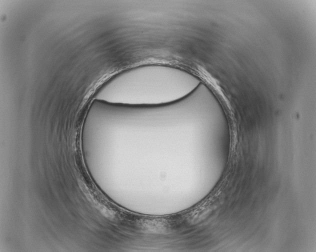 X0000086880106200704160950