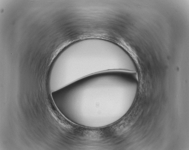 X0000086880107200704160950