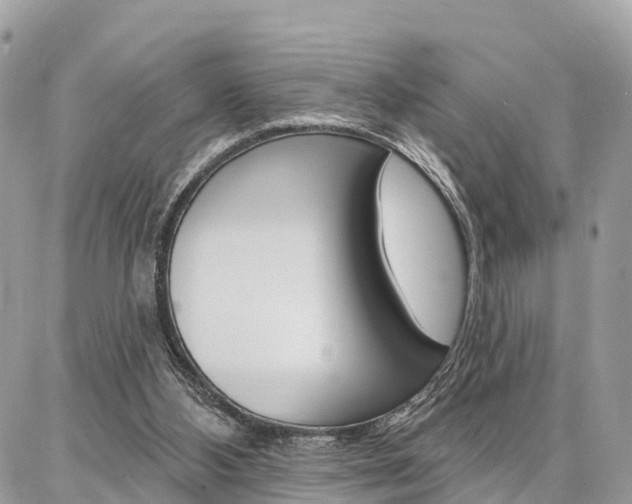 X0000086880108200704160950