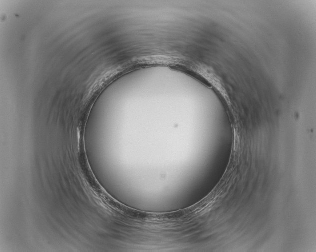 X0000086880109200704160950