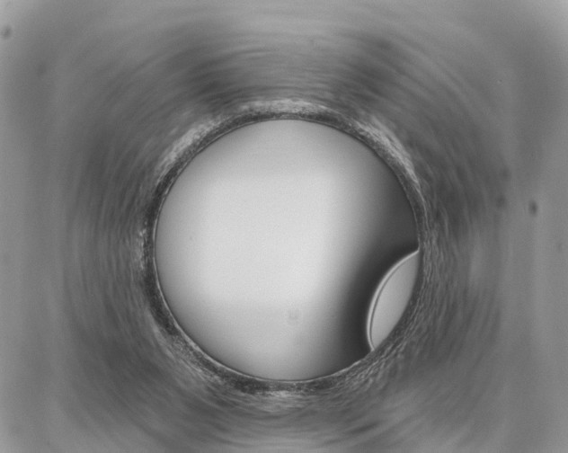 X0000086880111200704160950