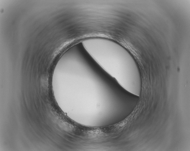 X0000086880112200704160950