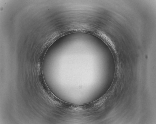 X0000086880113200704160950