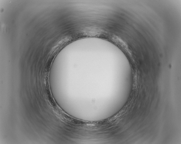 X0000086880114200704160950