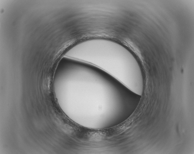 X0000086880115200704160950