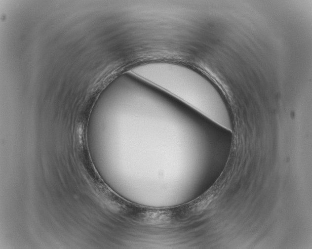 X0000086880117200704160950