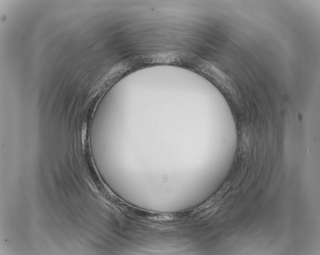 X0000086880118200704160950