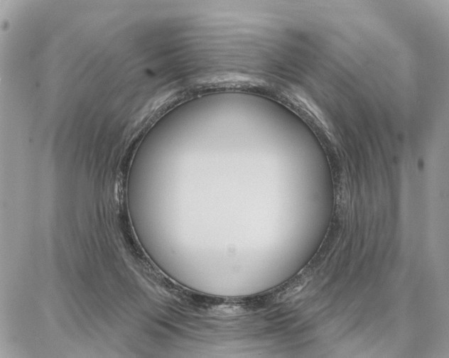 X0000086880119200704160950