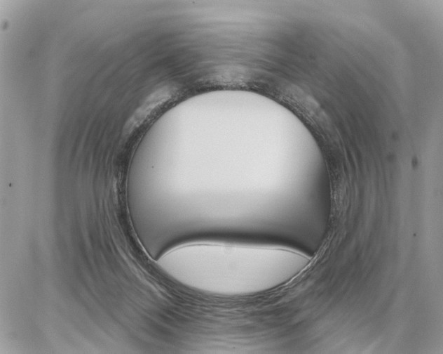 X0000086880120200704160950