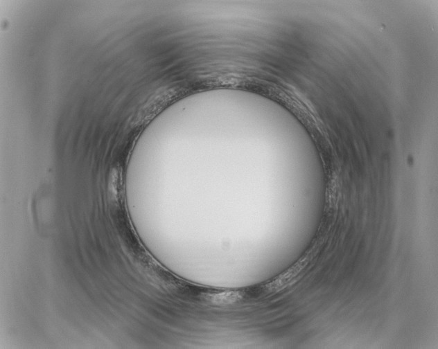 X0000086880122200704160950