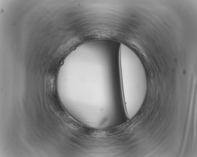 X0000086880123200704160950