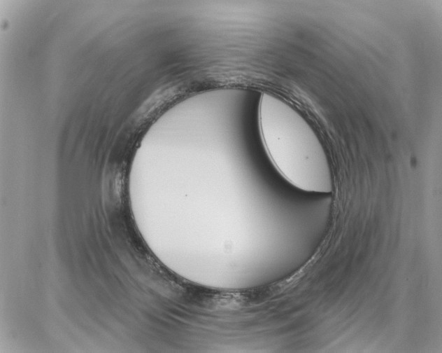 X0000086880124200704160950