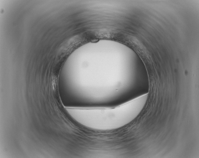 X0000086880125200704160950