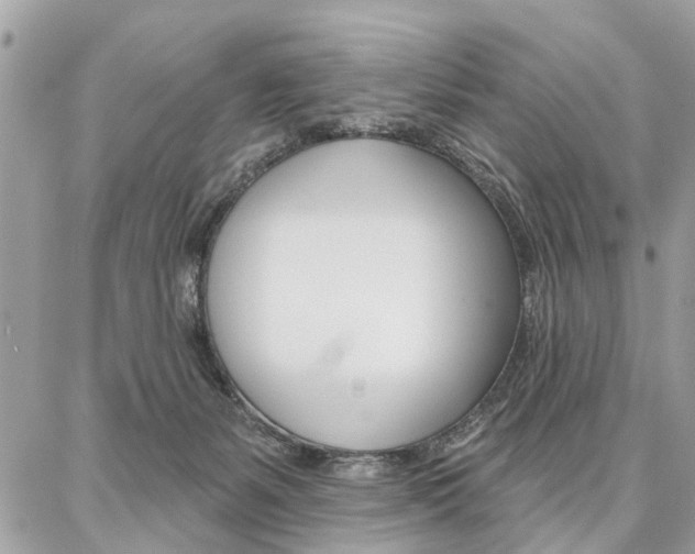 X0000086880127200704160950