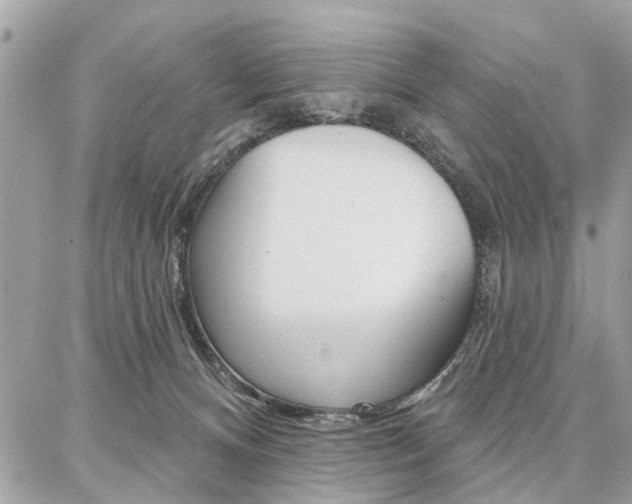 X0000086880128200704160950