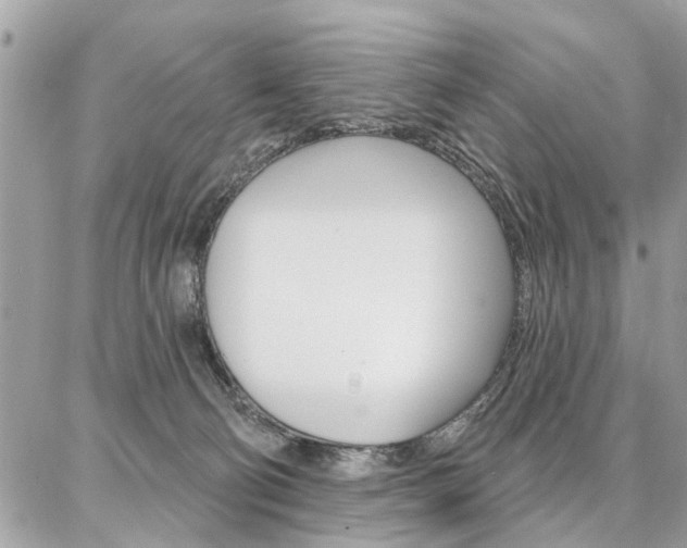 X0000086880130200704160950