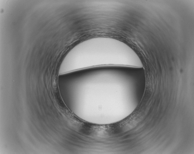 X0000086880131200704160950