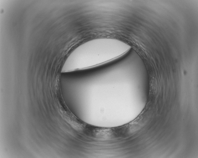 X0000086880132200704160950