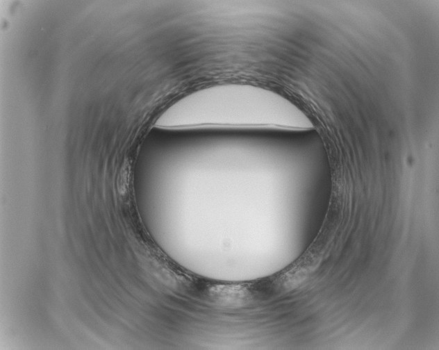 X0000086880133200704160950