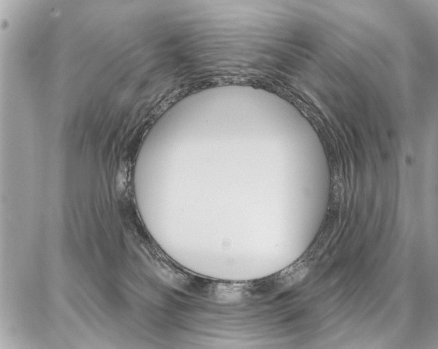 X0000086880134200704160950