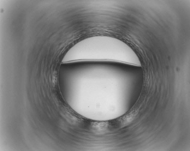 X0000086880135200704160949