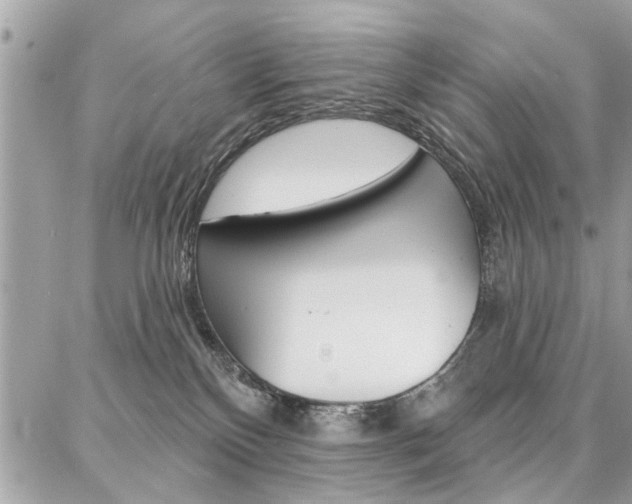 X0000086880136200704160949