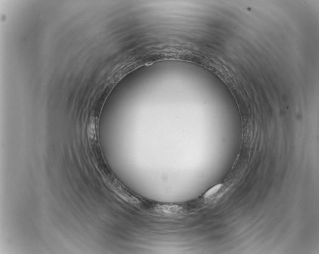 X0000086880137200704160949