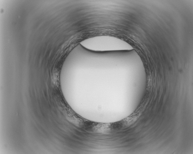 X0000086880138200704160949