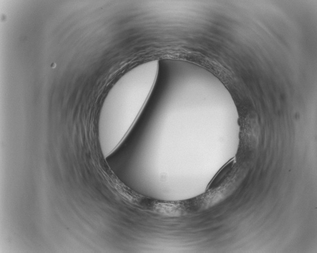 X0000086880139200704160949