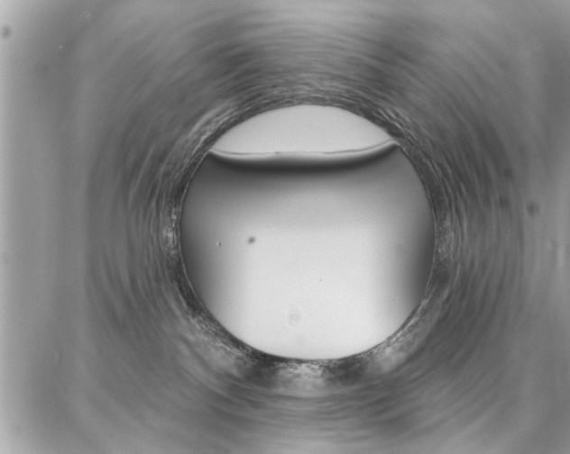 X0000086880140200704160949