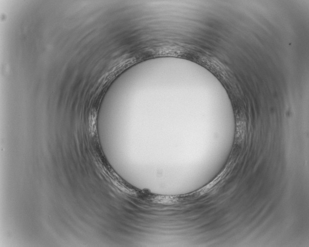 X0000086880142200704160949