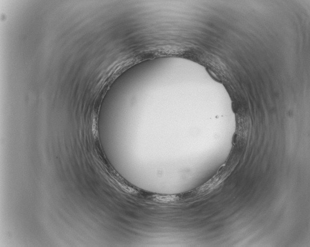 X0000086880143200704160949