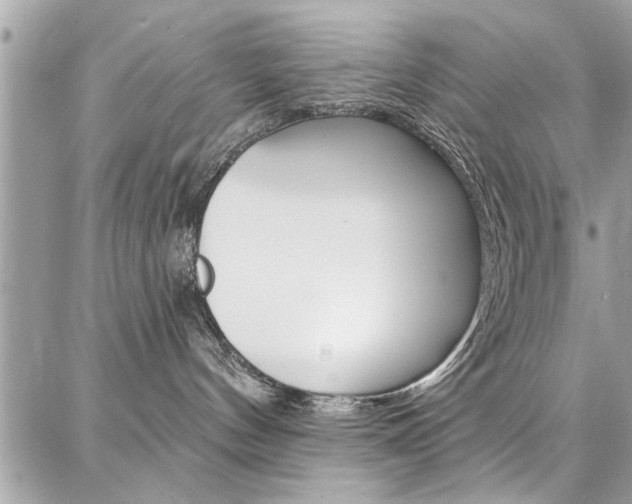 X0000086880144200704160949