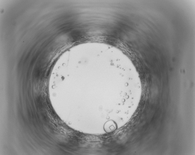 X0000086880146200704160949