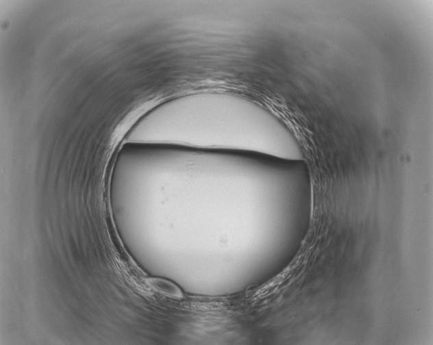 X0000086880147200704160949