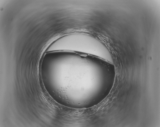 X0000086880148200704160949