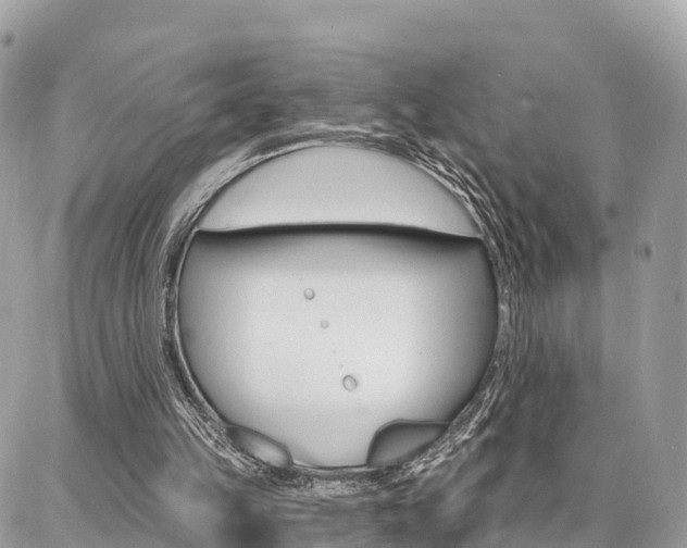 X0000086880149200704160949