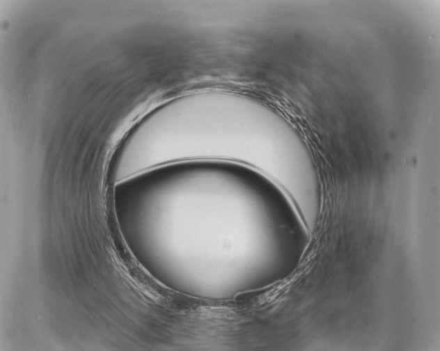 X0000086880150200704160949