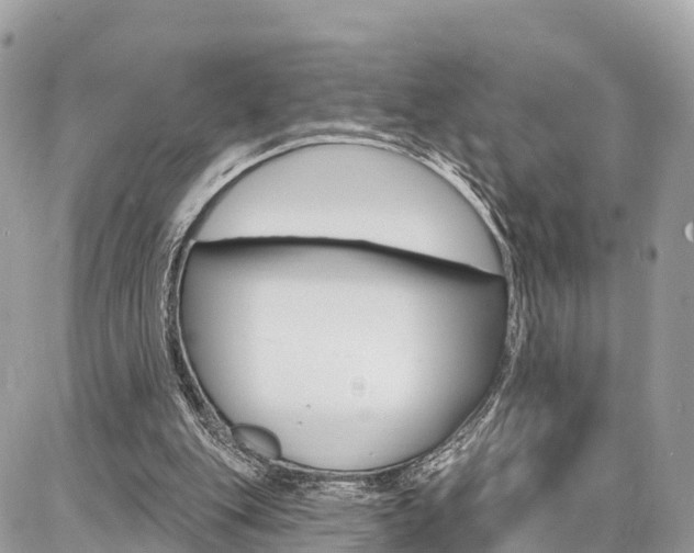 X0000086880151200704160949